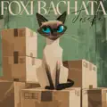 FoxiBachata