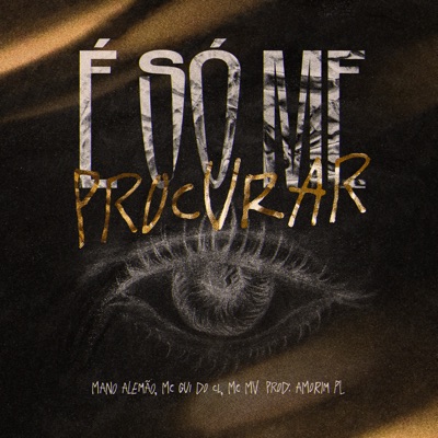 É Só Me Procurar (feat. Amorim PL) - Single