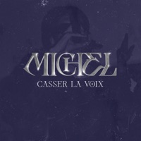 Casser la voix - Single - Michel