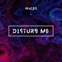 Disturb me (feat. Ceeboi) - Single - Wales