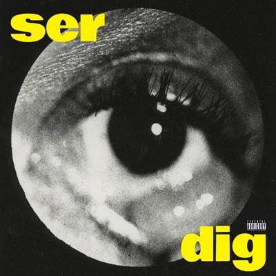 ser dig - Single
