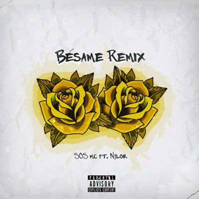 Bésame (Remix) [feat. NYLOR] - Single