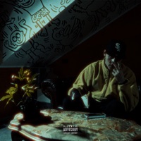 Stock - Single - CrocoJonny