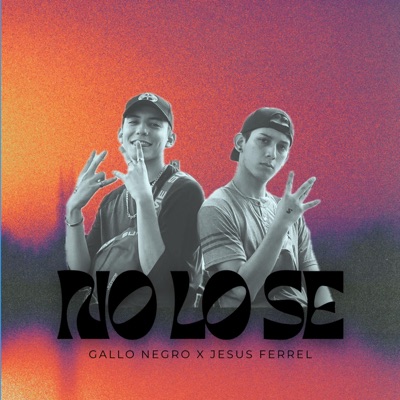 No lo se (feat. Gallo Negro) - Single