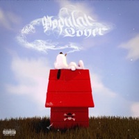 Popular Loner - Saint12