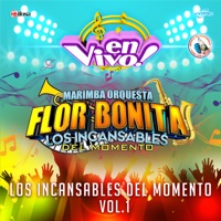 Marimba Orquesta Flor Bonita - Jenny (En Vivo)