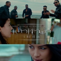 Los Besos Que Te Di - Single - David Calzado y Su Charanga Habanera