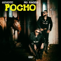 Pocho - Single - Coyote & MC Magic