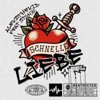 Schnelle Liebe (feat. Stan36) - Single - Alekzthekid