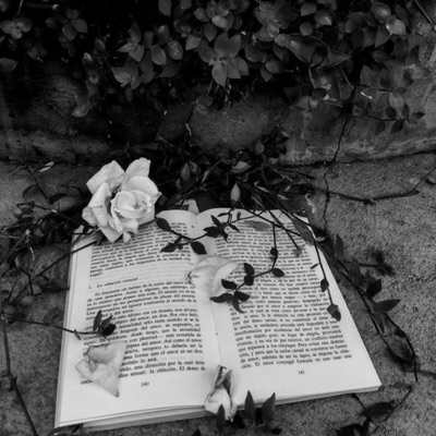 เกินกว่าจะเข้าใจ - Single