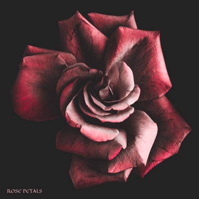 Rose Petals - Single