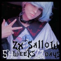 54 weeks / 3 days (feat. Mvc B) - Single - zx sallow
