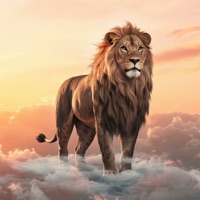 Lion (Worship Instrumental) - Single - D'Michel Leb & ChillØut