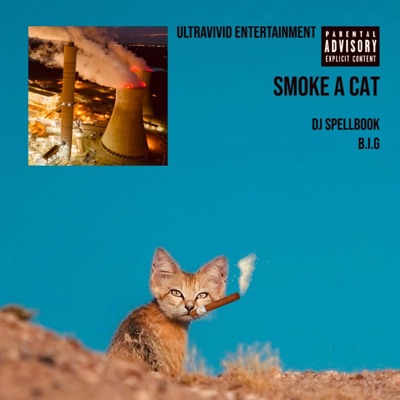 Smoke A Cat - Single