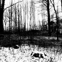 right now - Single - dayvo