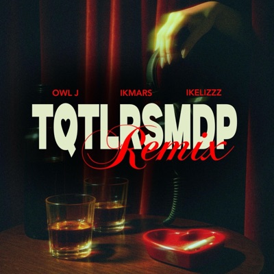 TQTLRSMDP (feat. Ikelizzz & Owl J) [REMIX] - Single