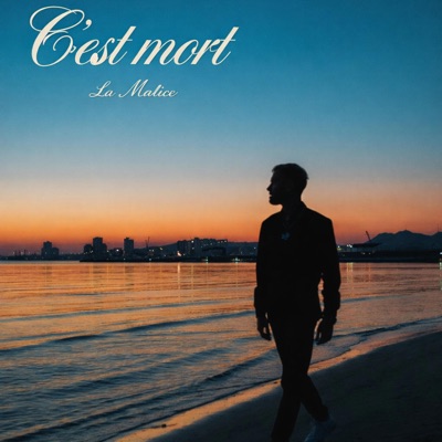 C'est mort - Single