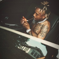 Short Drive To Hollywood - Champagne Wody