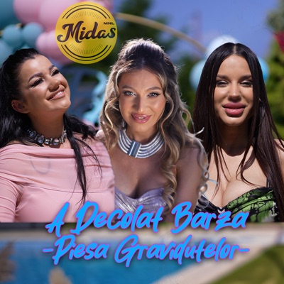A decolat barza (feat. Midas MNL) [Piesa Gravidutelor] - Single
