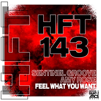 Feel What You Want - Single