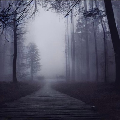 Shy (feat. Blackrose) - Single