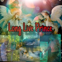 LLP - Single - A.O. TR33