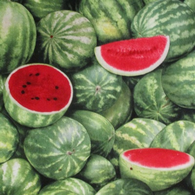 Whale Island - Single