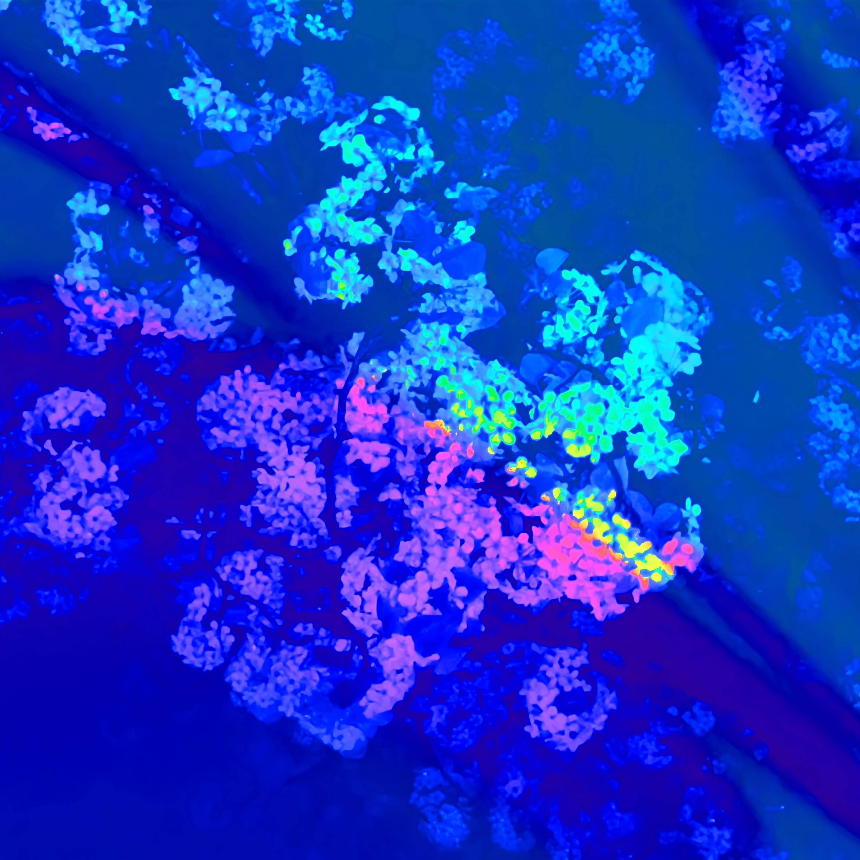 SUN ON YOUR SKIN - Single