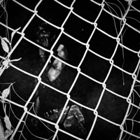 DEPRESSION DISCIPLE'S FINAL DESCENT - LuvAster