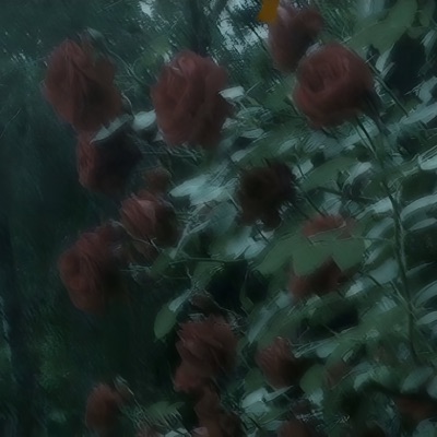 roomfornow. - Single