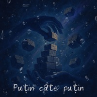 Puțin câte puțin - Single - David Skunk & wHo