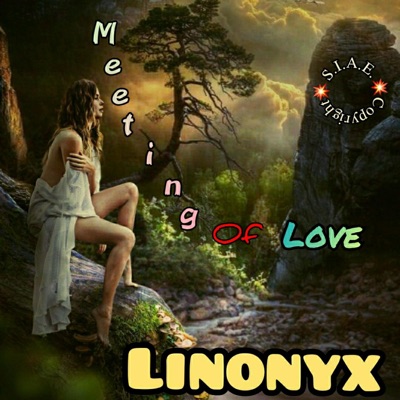 Meeting of Love - Single