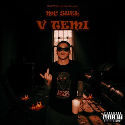 V Temi