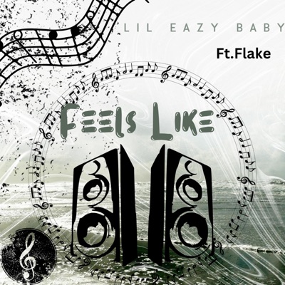 Fells Like (feat. Flake) - Single
