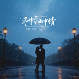 风中爱雨中情 (粤语对唱) 蒋蕙林 & Jiahao Xu