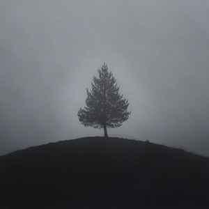 sleepless - Single