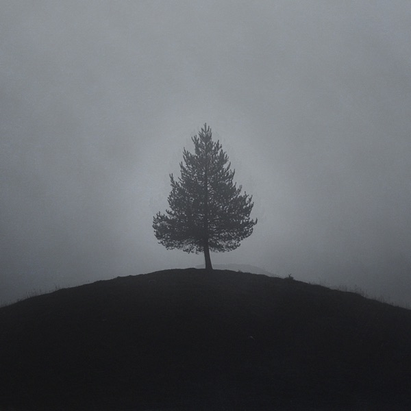 sleepless - Single
