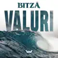 Valuri