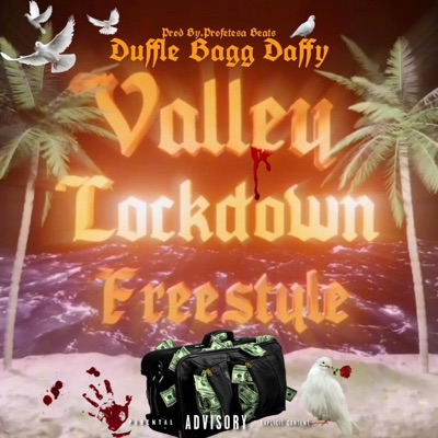 Valley Lockdown Freestyle - Single