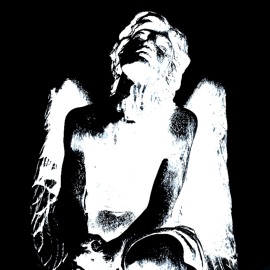 POROBIONY Wxrs & Doli