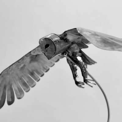 ANIMA