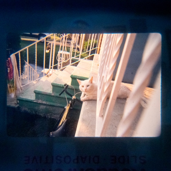 This Empty Town (Deluxe Edition) album cover