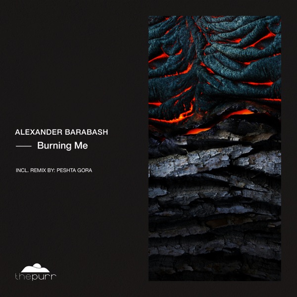 Burning Me - Single