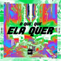 O Que, Que Ela Quer (feat. DJ MAGRO) - Single - MC PANDA, MC Pett & TRT HITS