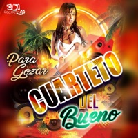 Para Gozar (feat. Merengue Latin Band) - Cuarteto del Bueno, Merengue Mix & Merengue Latin Band