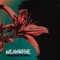 Orkidea - Neamwave lyrics