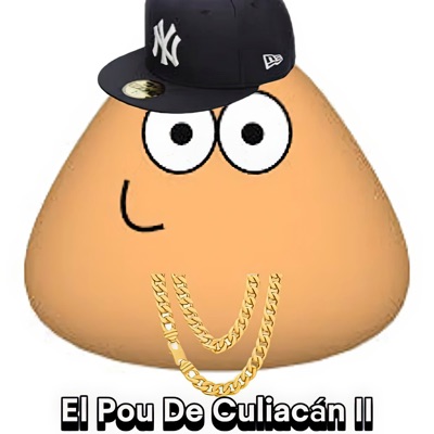 El Pou de Culiacán I - Single
