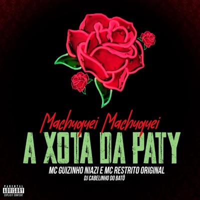 Machuquei Machuquei, a Xota da Paty - Single