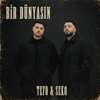 Tefo & SEKO - Bir Dünyasın artwork