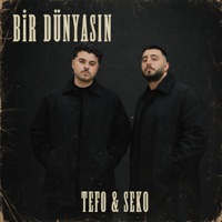 Bir Dünyasın - Single - Tefo & SEKO